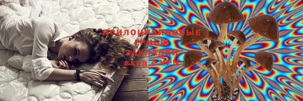 ГАЛЛЮЦИНОГЕННЫЕ ГРИБЫ Алексеевка